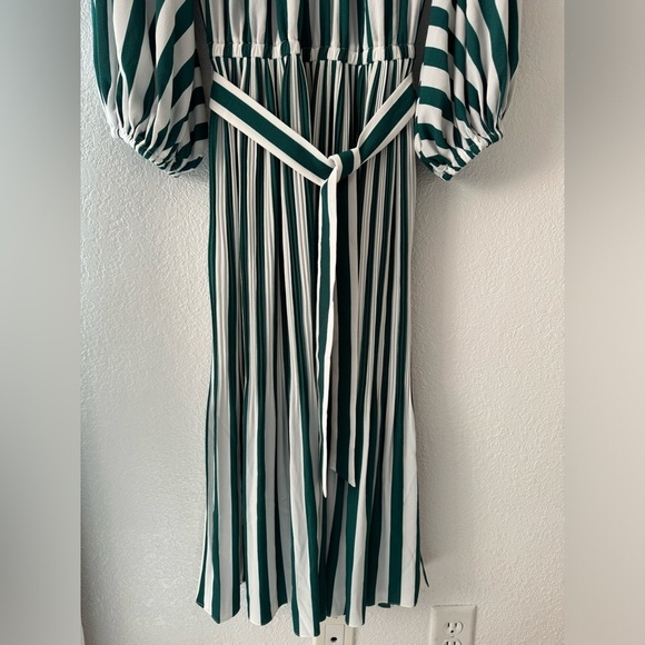 NWOT AYR The Who's She Green Regatta Stripe Pleated Midi Dress Size Xs - Picture 3 of 14
